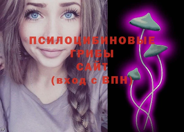 гидропоника Медвежьегорск