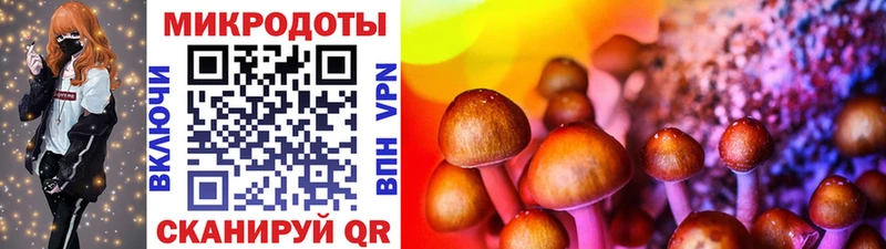 Псилоцибиновые грибы Magic Shrooms  где найти   Бородино 